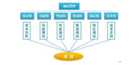 專業(yè)測(cè)試與軟件外包 雙輪驅(qū)動(dòng)，賦能企業(yè)數(shù)字化轉(zhuǎn)型