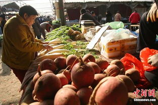 食用農(nóng)產(chǎn)品價格微幅上揚，雞蛋漲幅達2.2%引關(guān)注