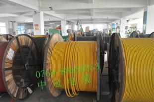 中冠線纜 以信譽(yù)鑄就品牌，以質(zhì)量贏得市場(chǎng)，專注通信線纜領(lǐng)域的卓越制造商